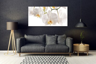 Quadro in vetro Orchidea Fiori della natura