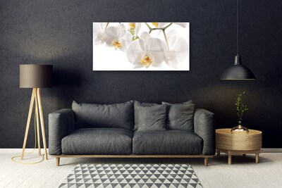 Quadro in vetro Orchidea Fiori della natura