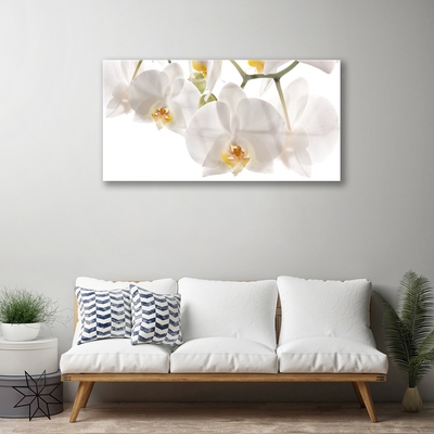 Quadro in vetro Orchidea Fiori della natura