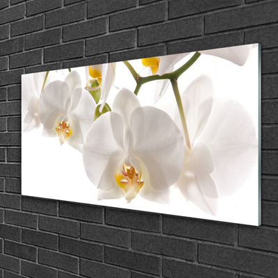 Quadro in vetro Orchidea Fiori della natura