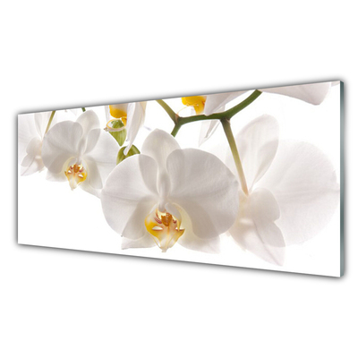 Quadro in vetro Orchidea Fiori della natura