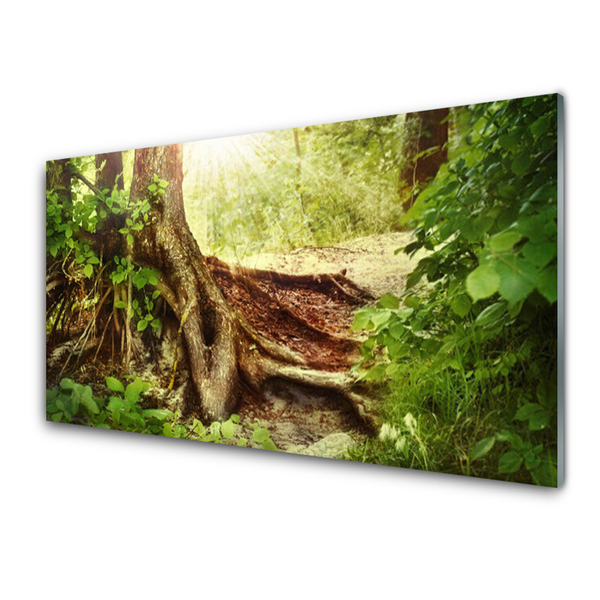 Quadro di vetro Tronco d'albero Foresta naturale