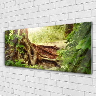 Quadro di vetro Tronco d'albero Foresta naturale