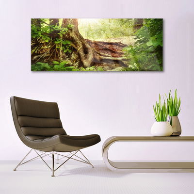 Quadro di vetro Tronco d'albero Foresta naturale