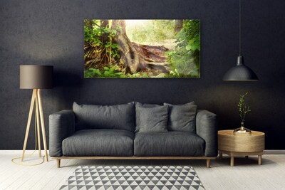 Quadro di vetro Tronco d'albero Foresta naturale