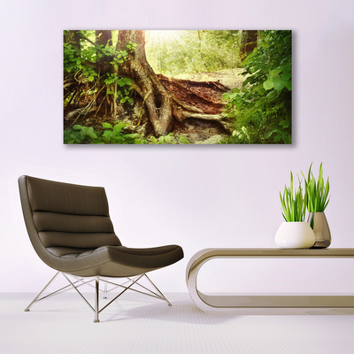 Quadro di vetro Tronco d'albero Foresta naturale