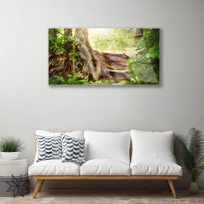 Quadro di vetro Tronco d'albero Foresta naturale