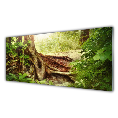 Quadro di vetro Tronco d'albero Foresta naturale