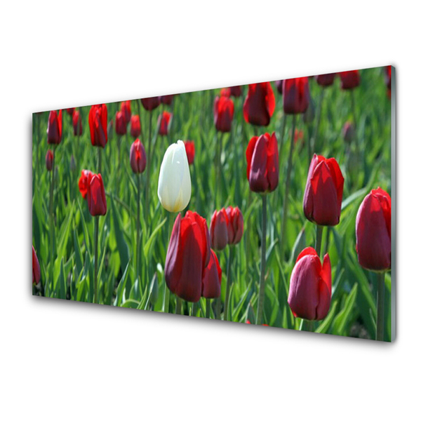 Quadro vetro Tulipani Fiori della natura