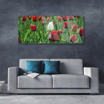 Quadro vetro Tulipani Fiori della natura