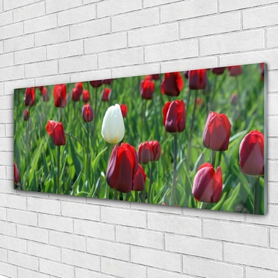 Quadro vetro Tulipani Fiori della natura