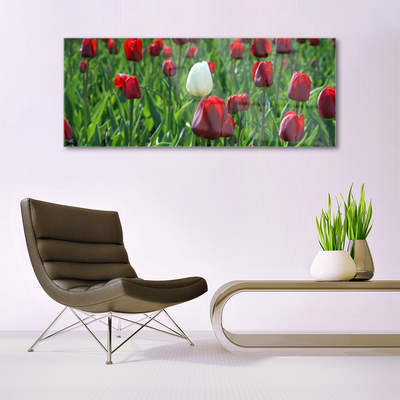 Quadro vetro Tulipani Fiori della natura