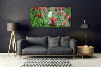 Quadro vetro Tulipani Fiori della natura