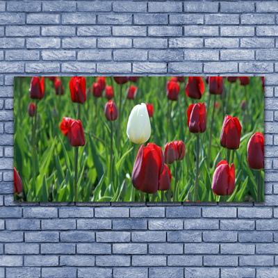 Quadro vetro Tulipani Fiori della natura