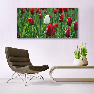 Quadro vetro Tulipani Fiori della natura