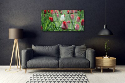 Quadro vetro Tulipani Fiori della natura