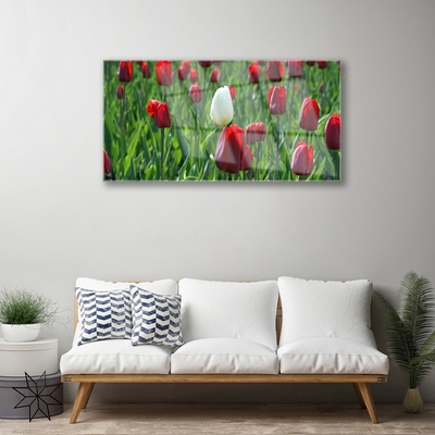 Quadro vetro Tulipani Fiori della natura