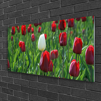 Quadro vetro Tulipani Fiori della natura