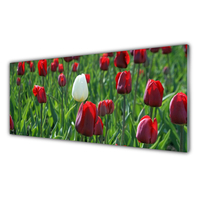 Quadro vetro Tulipani Fiori della natura