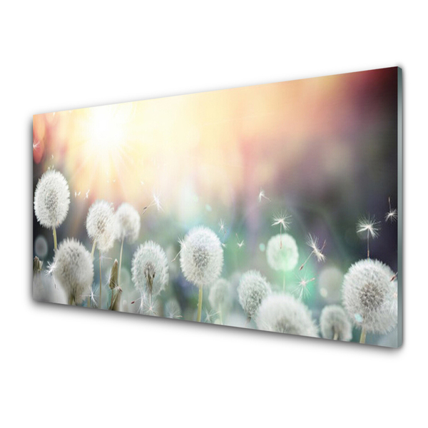 Quadro vetro Soffiatori Fiori di natura