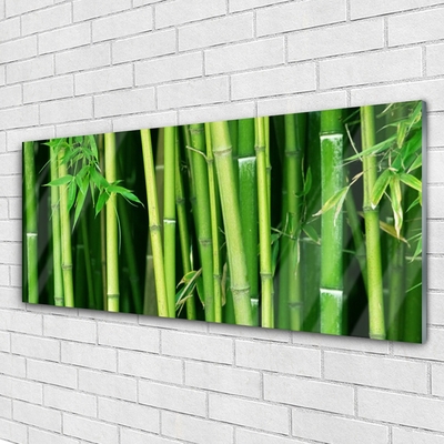 Quadro di vetro Foresta di bambù Natura bambù