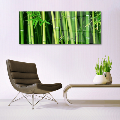 Quadro di vetro Foresta di bambù Natura bambù