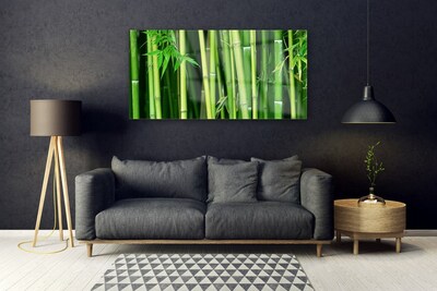 Quadro di vetro Foresta di bambù Natura bambù