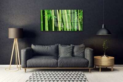 Quadro di vetro Foresta di bambù Natura bambù