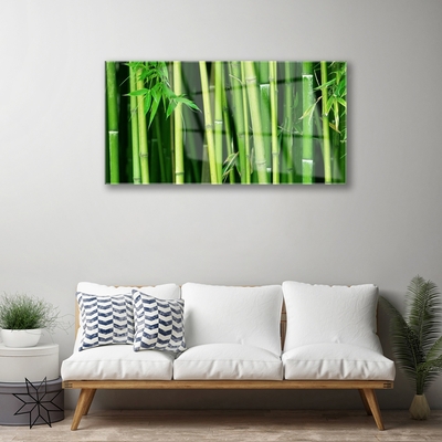 Quadro di vetro Foresta di bambù Natura bambù