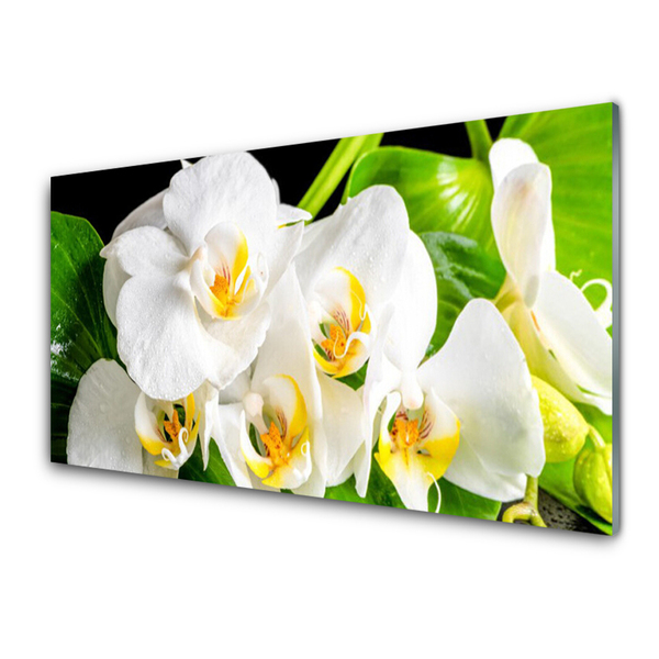 Quadro in vetro Orchidea Fiori della natura