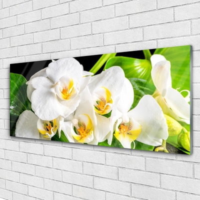 Quadro in vetro Orchidea Fiori della natura