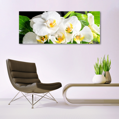 Quadro in vetro Orchidea Fiori della natura