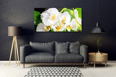 Quadro in vetro Orchidea Fiori della natura