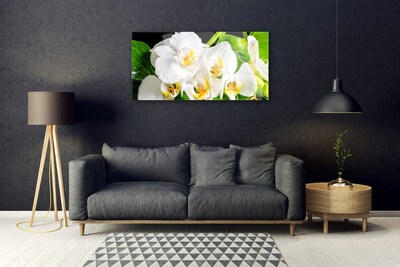 Quadro in vetro Orchidea Fiori della natura