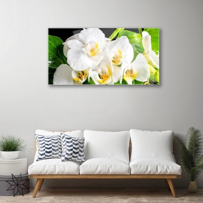 Quadro in vetro Orchidea Fiori della natura