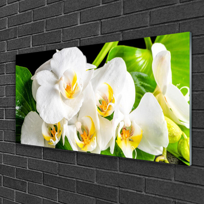 Quadro in vetro Orchidea Fiori della natura