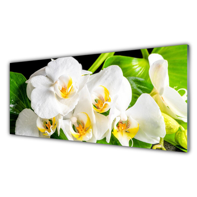 Quadro in vetro Orchidea Fiori della natura