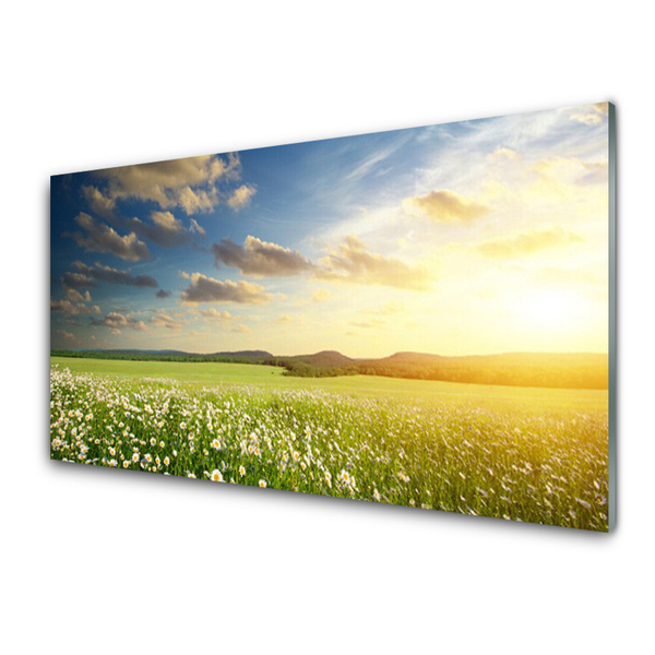 Quadro vetro Prato Fiori Paesaggio