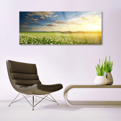 Quadro vetro Prato Fiori Paesaggio