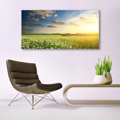 Quadro vetro Prato Fiori Paesaggio