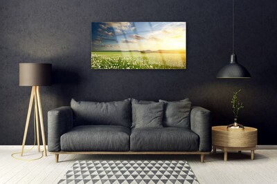 Quadro vetro Prato Fiori Paesaggio