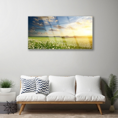 Quadro vetro Prato Fiori Paesaggio