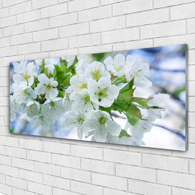 Quadro in vetro Fiori Albero Foglie Natura