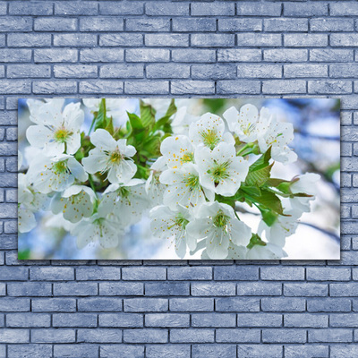 Quadro in vetro Fiori Albero Foglie Natura