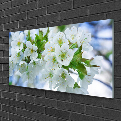 Quadro in vetro Fiori Albero Foglie Natura