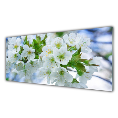 Quadro in vetro Fiori Albero Foglie Natura