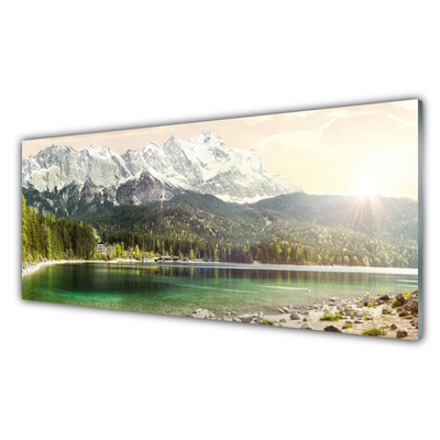 Quadro su vetro Montagne Foresta Lago Paesaggio