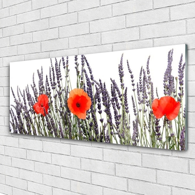 Quadro in vetro Fiori Papaveri Campo di erba