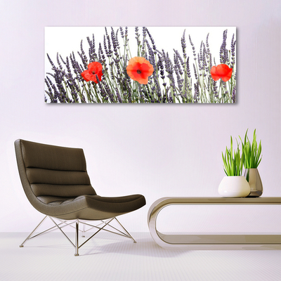 Quadro in vetro Fiori Papaveri Campo di erba