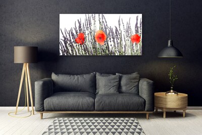 Quadro in vetro Fiori Papaveri Campo di erba